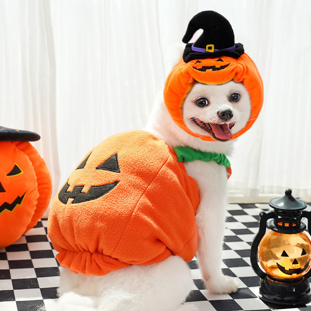 Poodle Disguise Pet Costume