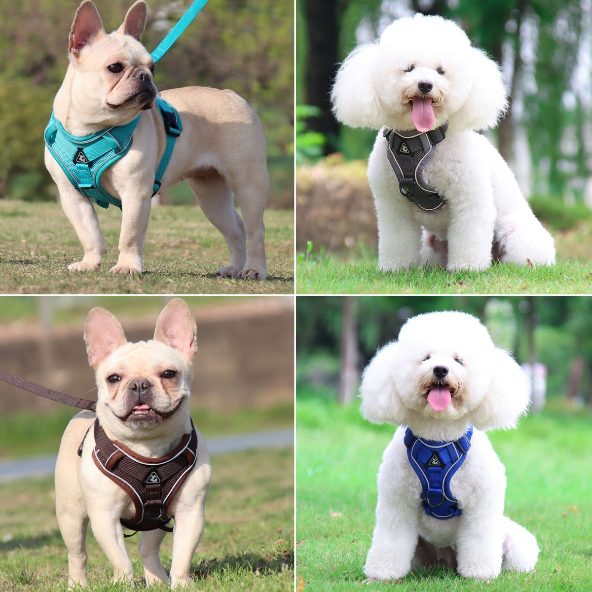 Reflective Breathable Cat Harness Vest