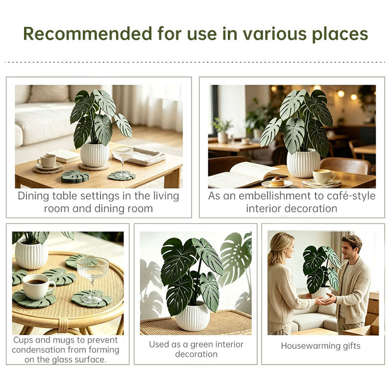 Monstera Leaf Drink Coasters