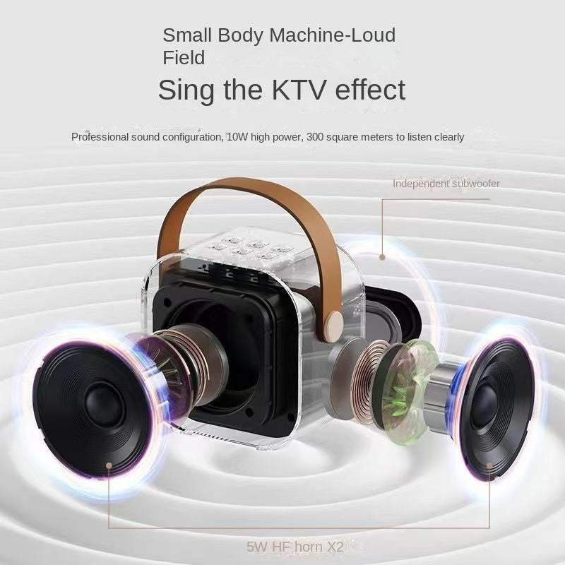 Karaoke Bluetooth Microphone Speaker Set