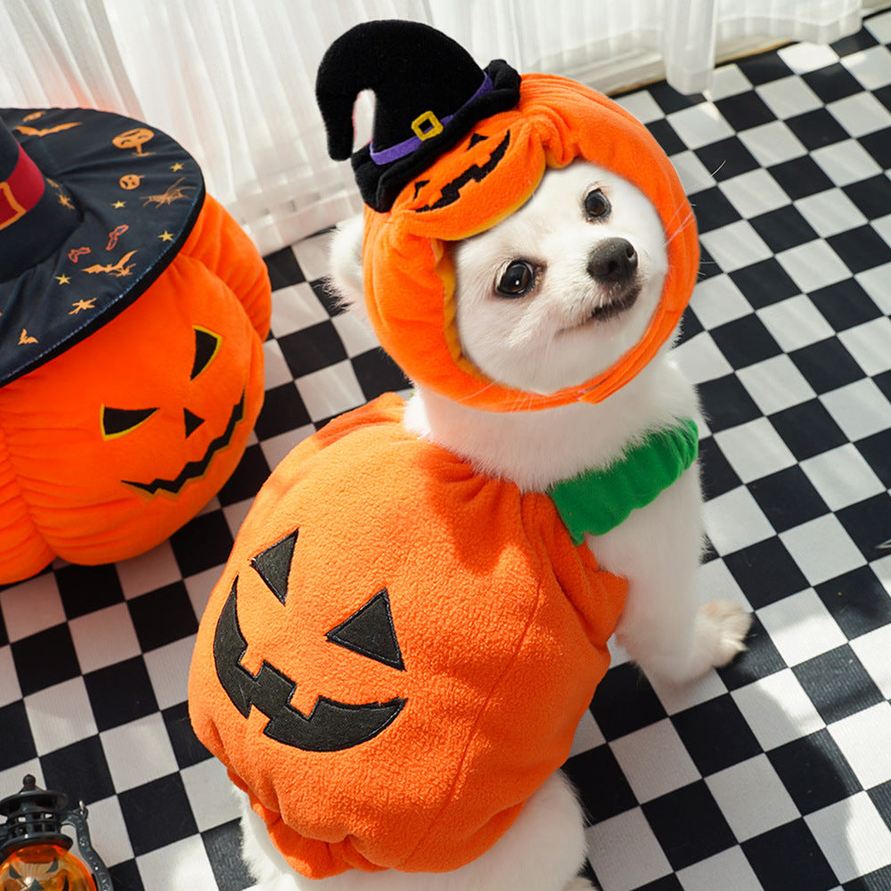 Poodle Disguise Pet Costume