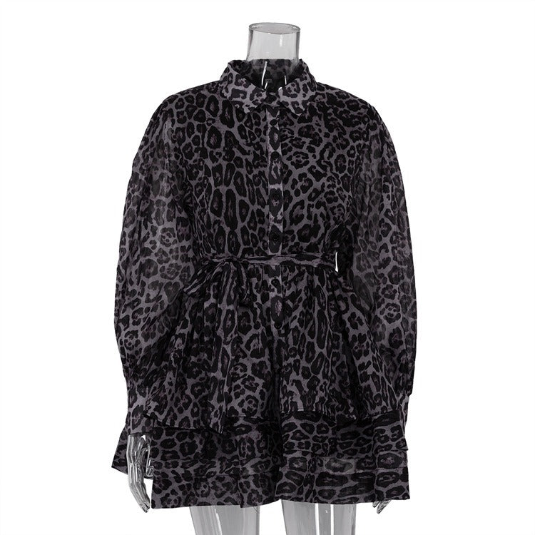 Leopard Print Chiffon Long Sleeve Dress