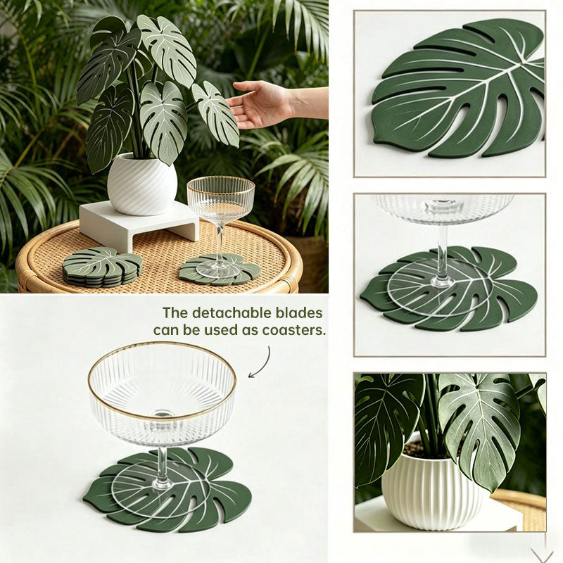 Monstera Leaf Drink Coasters