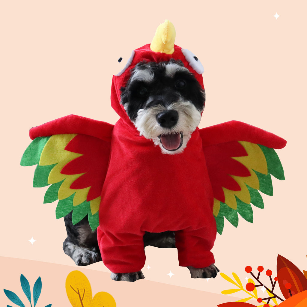 Turkey Halloween Pet Costume