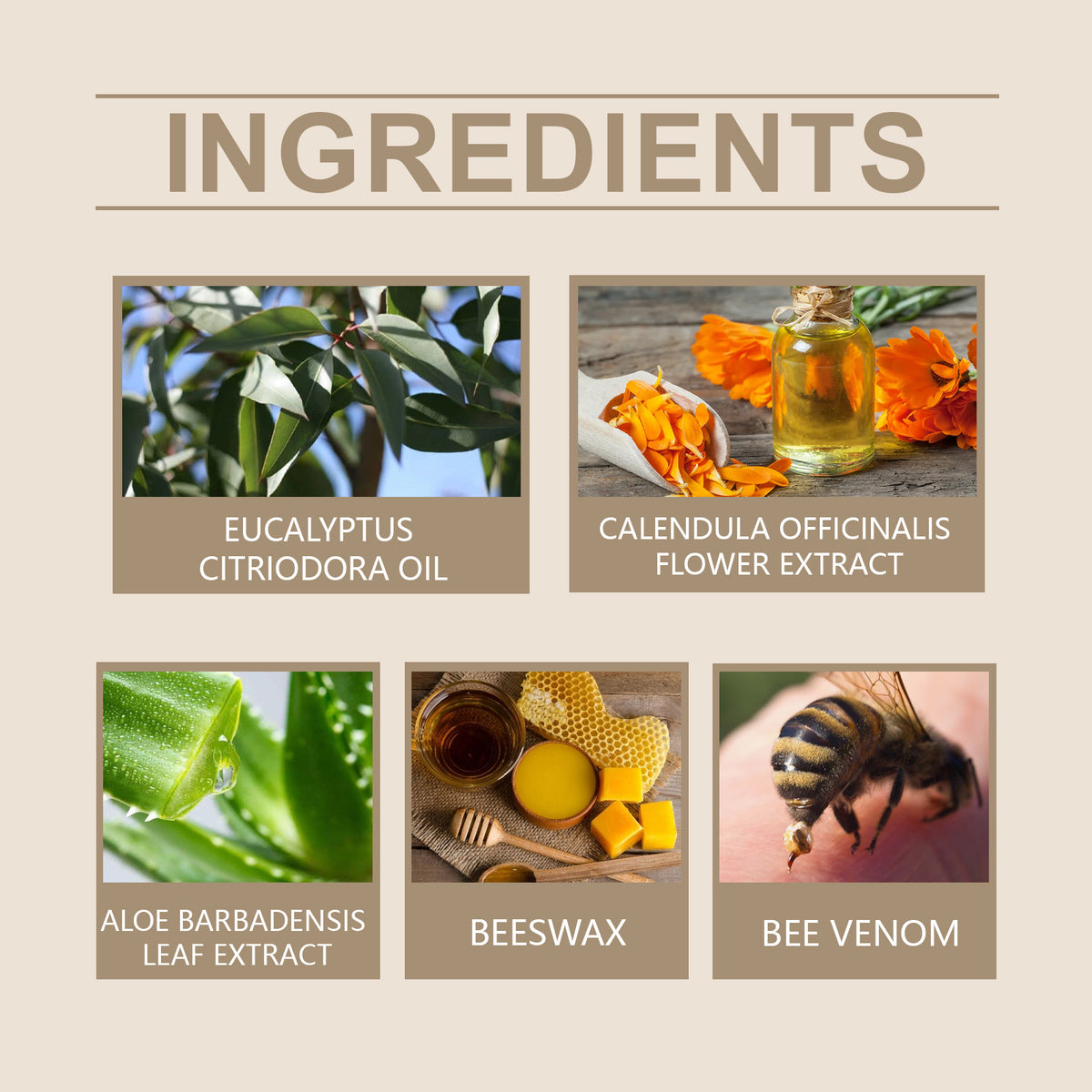 Bee Venom Skin Care Cream